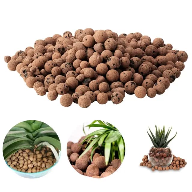 Cerioll Argile Expansée pour Plantes