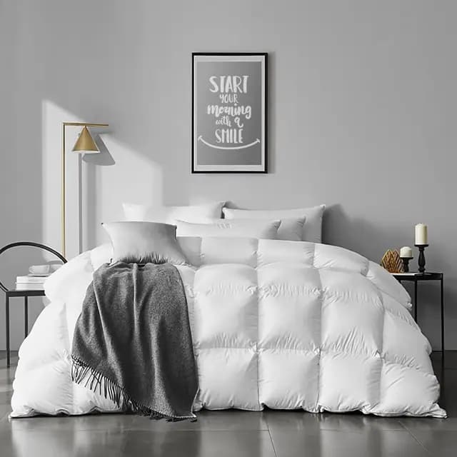 APSMILE Couette en Duvet et Plume Naturelle 4 Saisons Tempéré pour 2 Personne Couverture Chaude Légère 220 x 240 cm Confortable