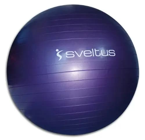 Sveltus 445 Gymball – Image 1