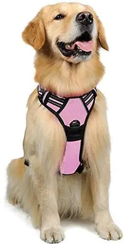 rabbitgoo Harnais Chien Rose Grand Taille