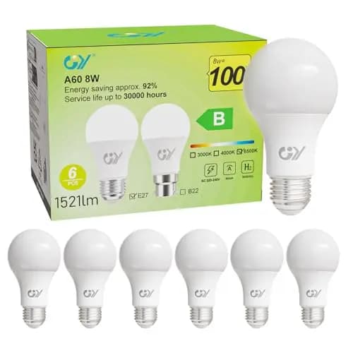 GY Ampoule LED E27 Blanc Froid