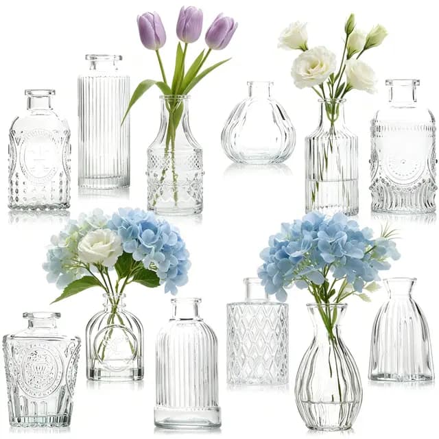 Otauoaea Lot de 12 Vases en Verre