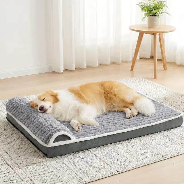Jolibean Lit Orthopédique pour Chien