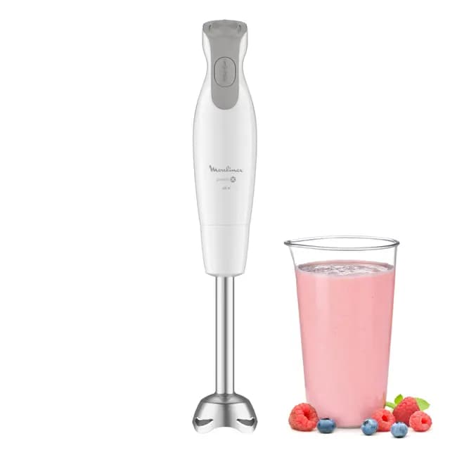 Moulinex Daily Chef Mixeur plongeant