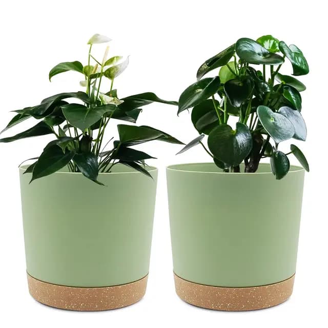 QCQHDU Pot de fleurs intérieur 16.5cm
