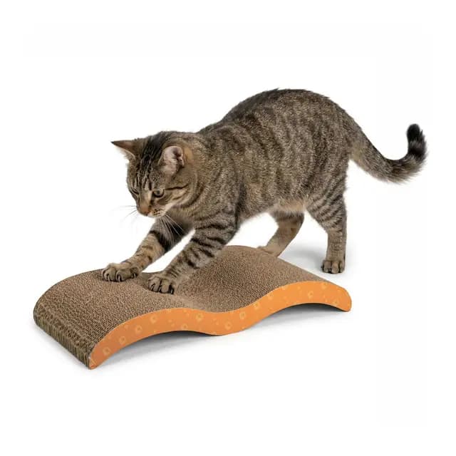 AQPET Griffoir Banane pour Chats