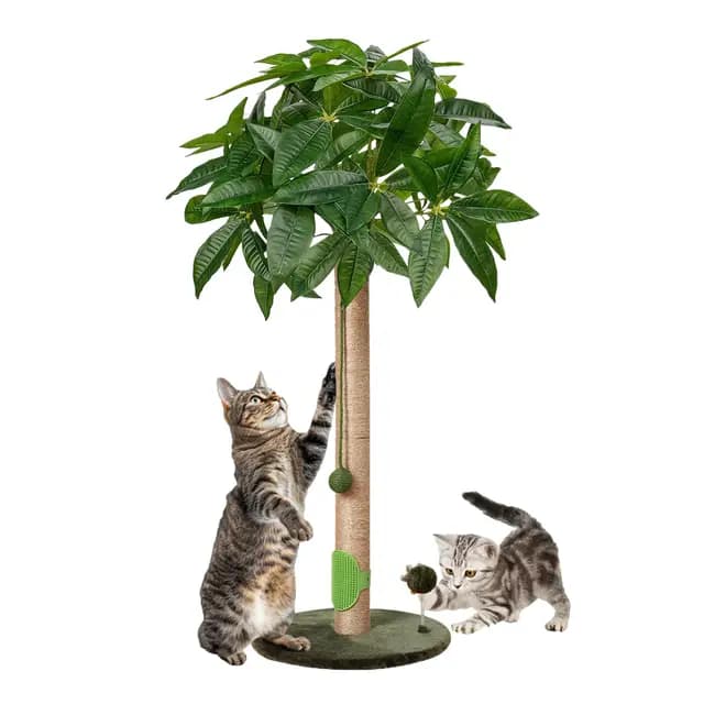 Meowoou FTR Griffoir pour Chat