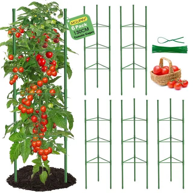 MQUPIN Tuteur Tomate