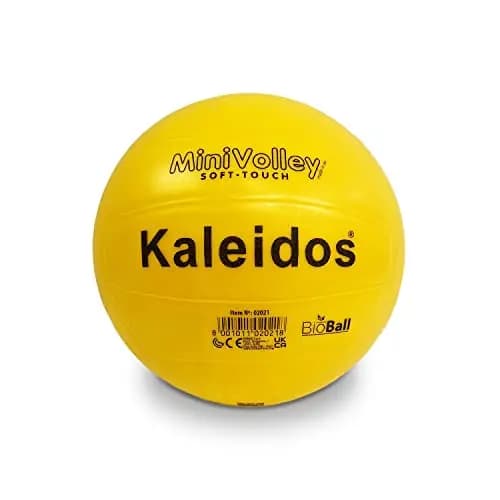 Mondo Mini Volley Ball