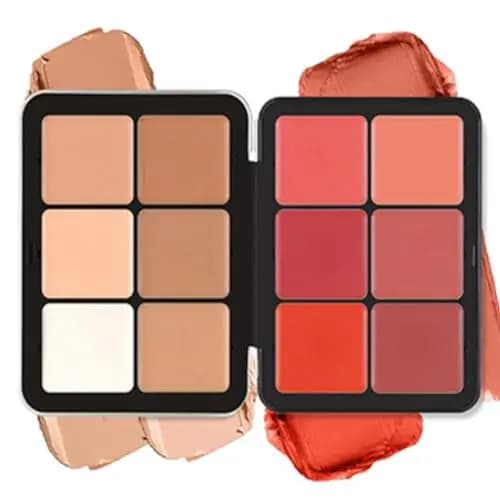 Beauty Searcher Palette Anticernes et Fards à