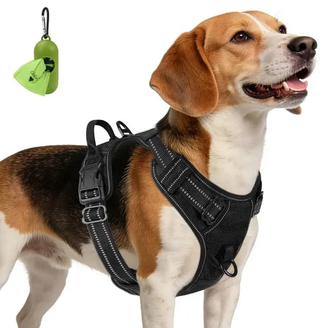 Joytale Harnais Chien Anti-Traction