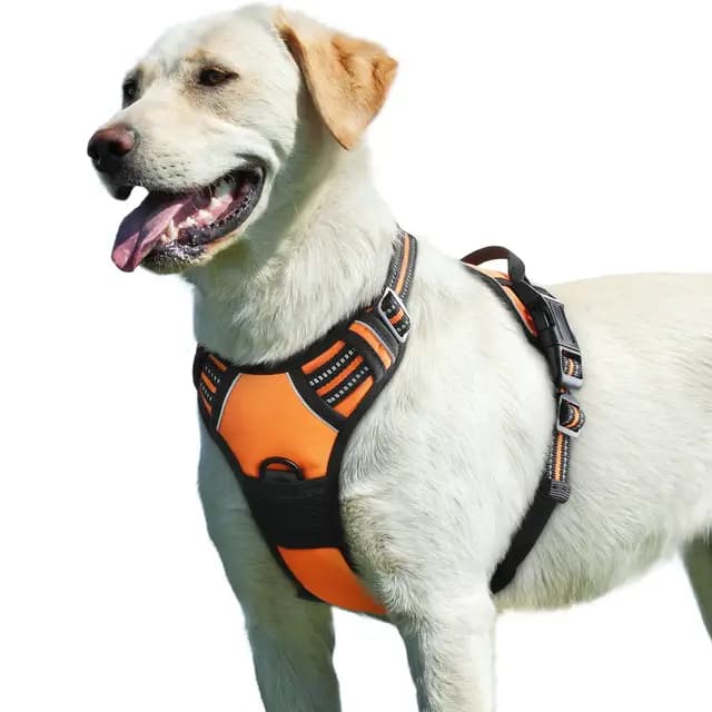 Eagloo Harnais Chien Orange L