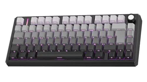 OMOTON Clavier Gamer 75% Mécanique