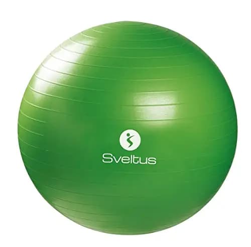 Sveltus 65cm Gymball – Image 1