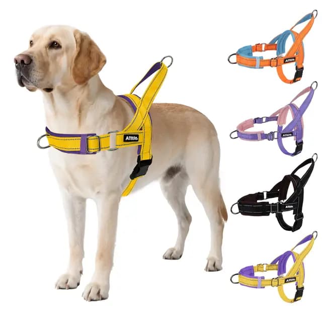Aiitle Harnais Tactique pour Chien