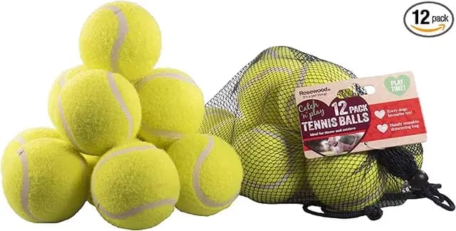 Rosewood Balle de Tennis pour Chien