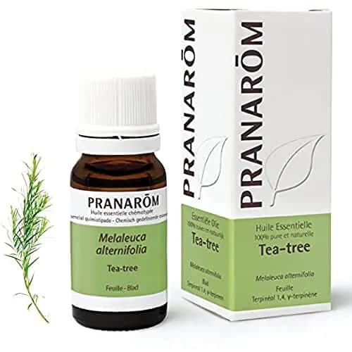 Pranarôm Tea Tree Huile Essentielle