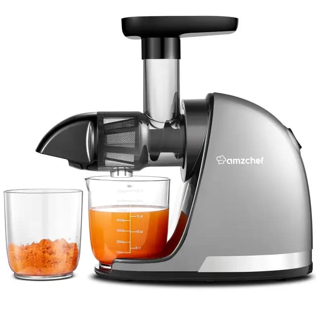 AMZCHEF ZM1501 Extracteur de jus