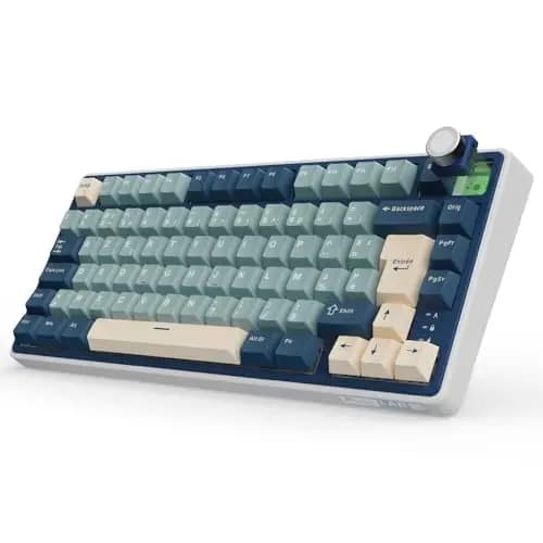 RK ROYAL KLUDGE R75 Clavier Gamer