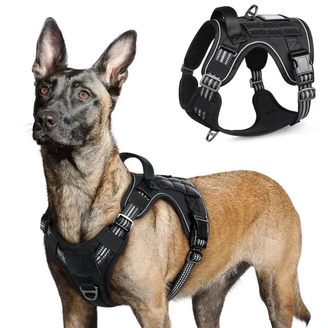 rabbitgoo Harnais Chien Tactique Noir L