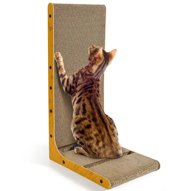 Torven Griffoir pour Chat 70 cm