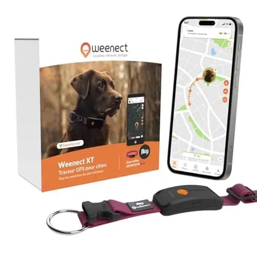 Weenect XT Collier GPS pour Chien
