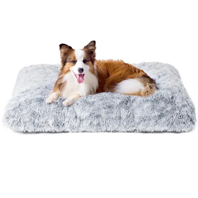 EHEYCIGA Lit pour Chien Gris 90x60cm