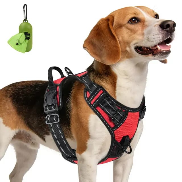 Joytale Harnais Chien Anti-Traction