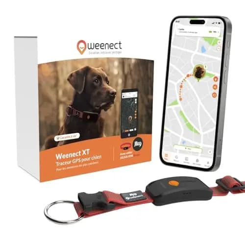 Weenect XT Collier GPS pour Chien