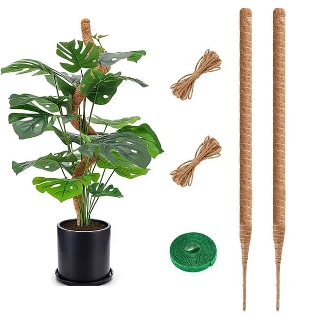 Tuteur Monstera 75 cm Lot de 2, Tuteur Plante en Fibre de Coco Naturelle, Support Solide pour Plantes Grimpantes d’Intérieur, Tuteur Coco Flexible pour Monstera, Pothos et Philodendron