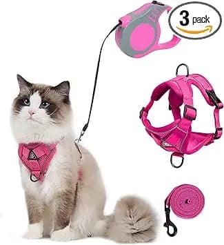 QKTYB Harnais pour Chat avec Laisse