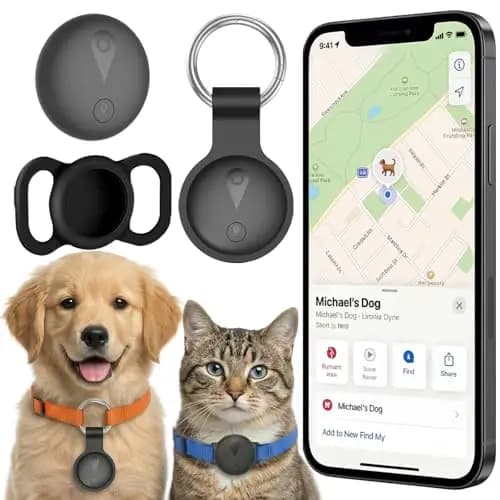 DisRun Collier GPS pour Animaux