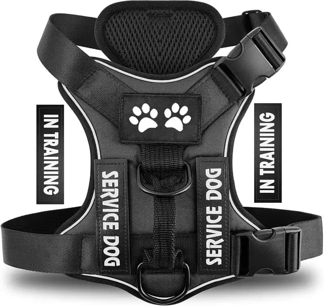 Wodondog DZXDH31 Harnais pour chien