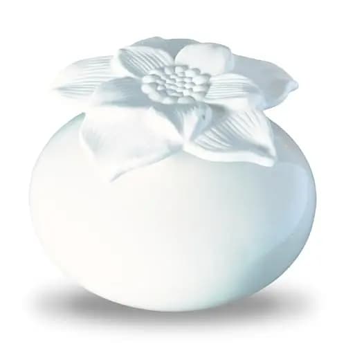 Zen'Arôme Narcisse Blanc Diffuseur