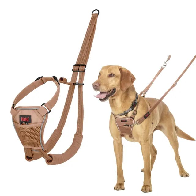 Halti Harnais Anti-Traction Chien