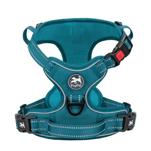 PoyPet Harnais pour Chien Sarcelle