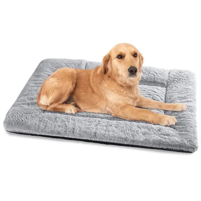 BaoDan Tapis pour Chiens 90x60 cm