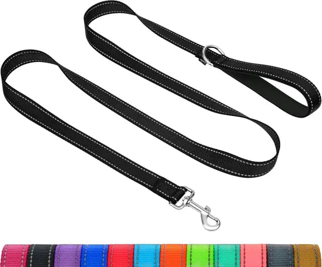 Taglory Laisse Nylon pour Chien
