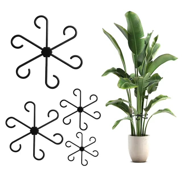 RoserRose Support Plantes Grimpantes