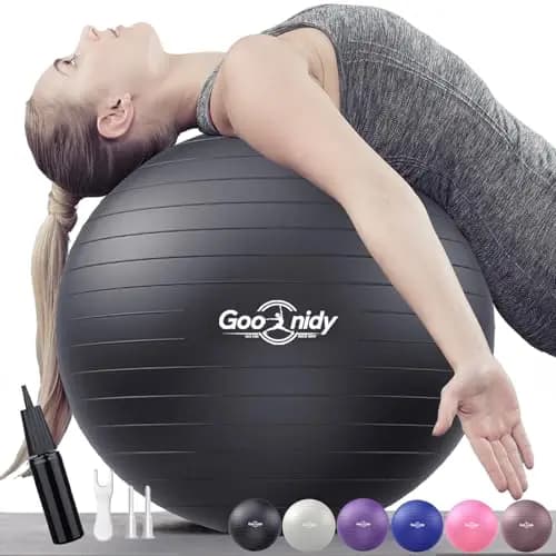 Goonidy Swiss Ball Ergonomique