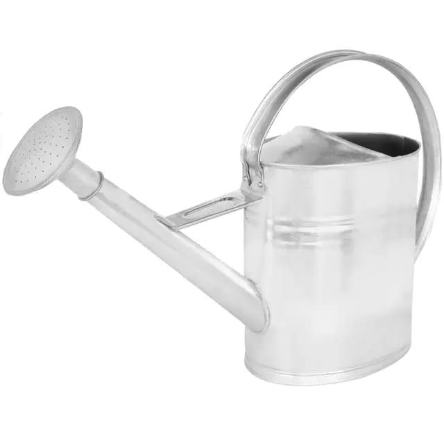 KOTARBAU Arrosoir 12L Métal Argenté