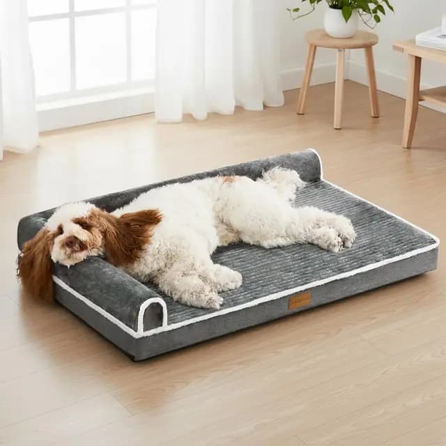 Jolibean Lit Orthopédique pour Chien