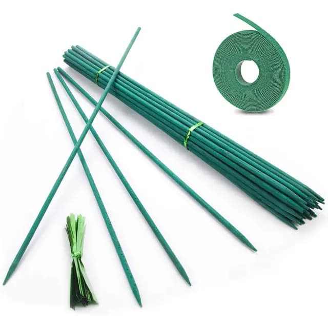 Fun Gift Lot 50 tuteurs bambou 45 cm