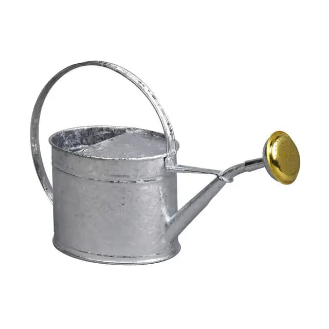 Guillouard 80320 Arrosoir galvanisé – Image 1