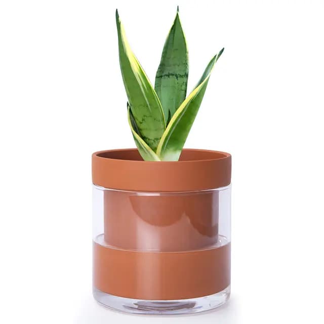Phoenix Vine Pot de Fleurs Automatique