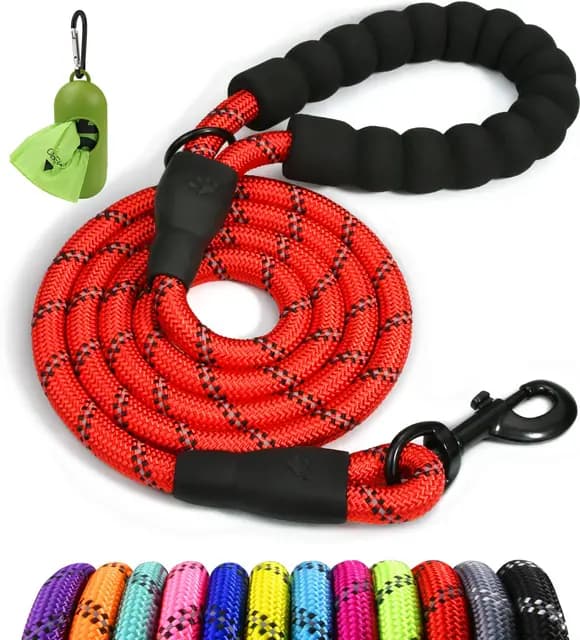 Taglory Laisse Chien Nylon