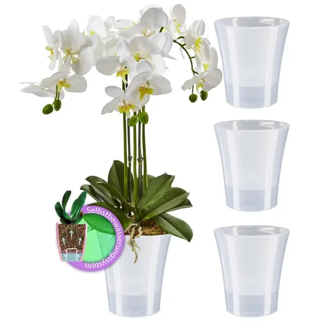 Santino Orchidea Pot auto-arrosant