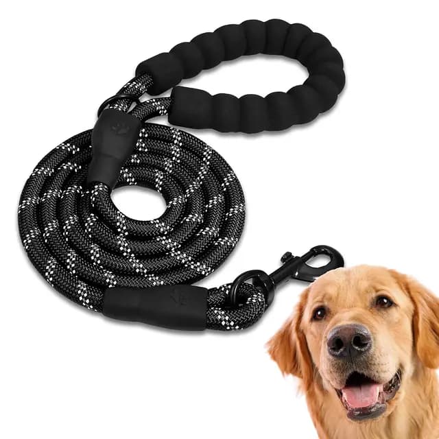 Edipets Laisse de Dressage Nylon
