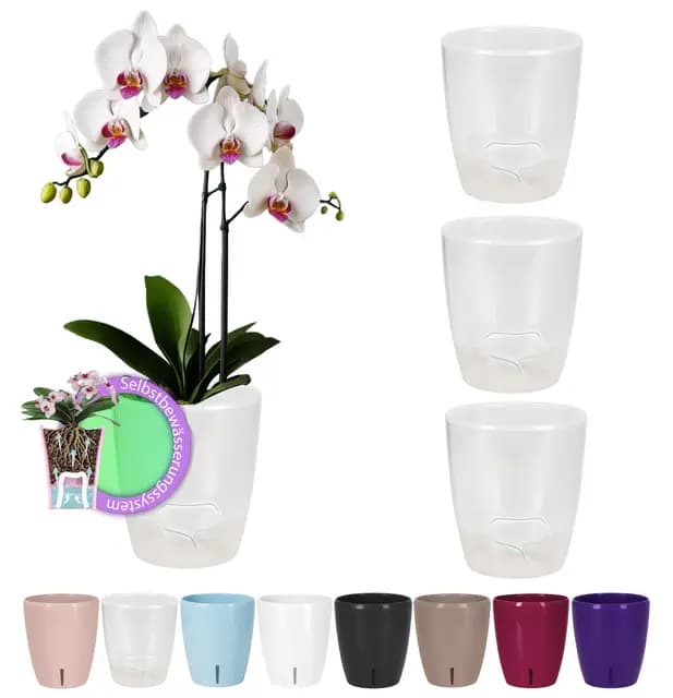 Santino ORCHIDEA Lot de 4 Pots à orchidée