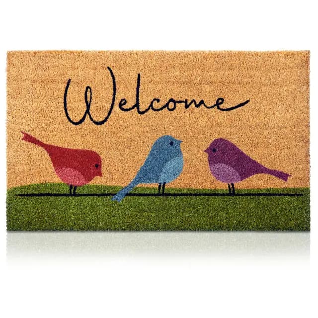 Paillasson oiseaux colorés en fibre de coco - 70 x 40 cm - Paillasson antidérapant - Paillasson original pour l'entrée de la maison, les couloirs, les portes extérieures - Accessoires pour la maison -